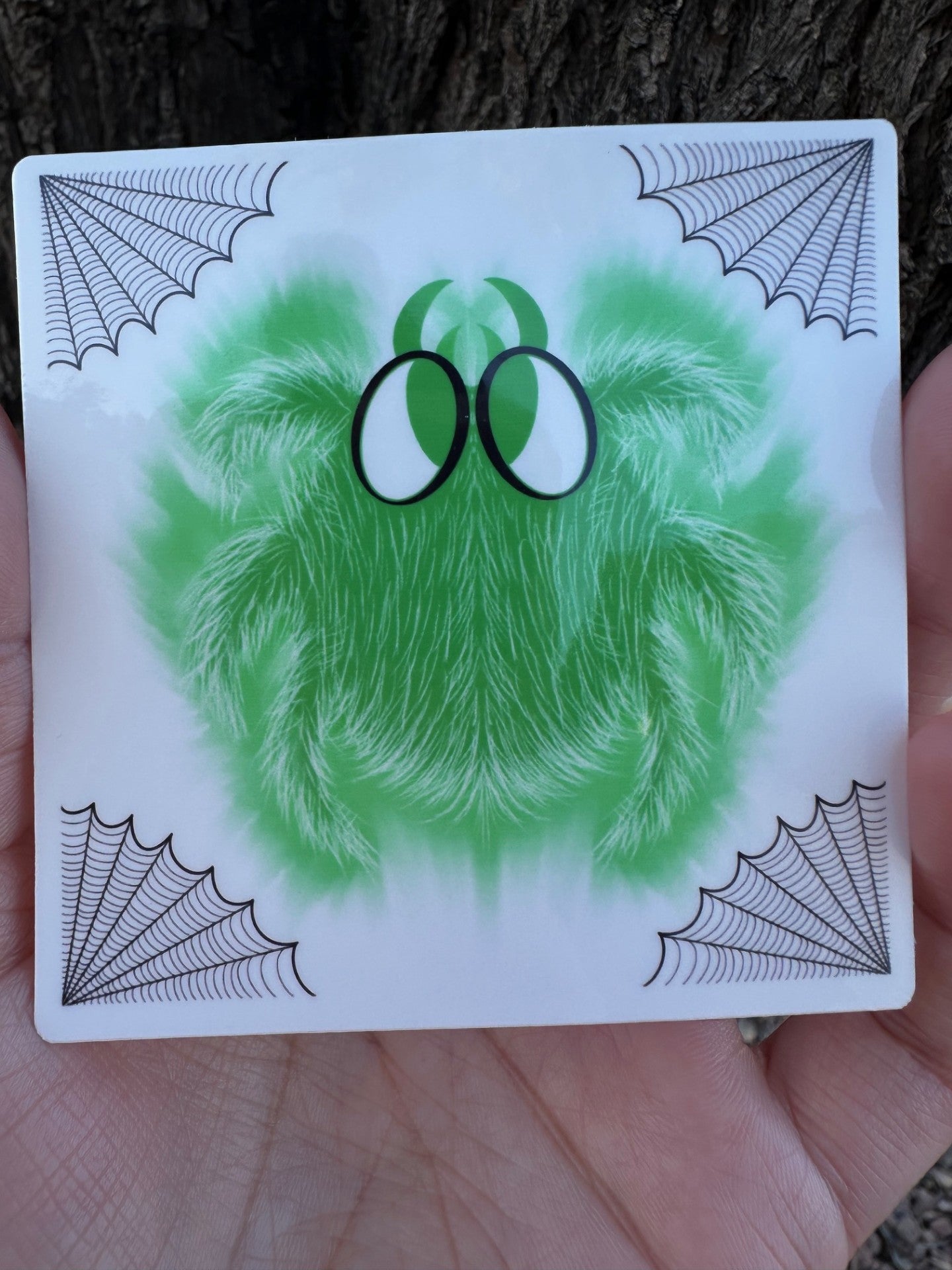 A square sticker featuring a fluffy green cartoon spider with large black and white eyes. Black spider web illustrations decorate all four corners.