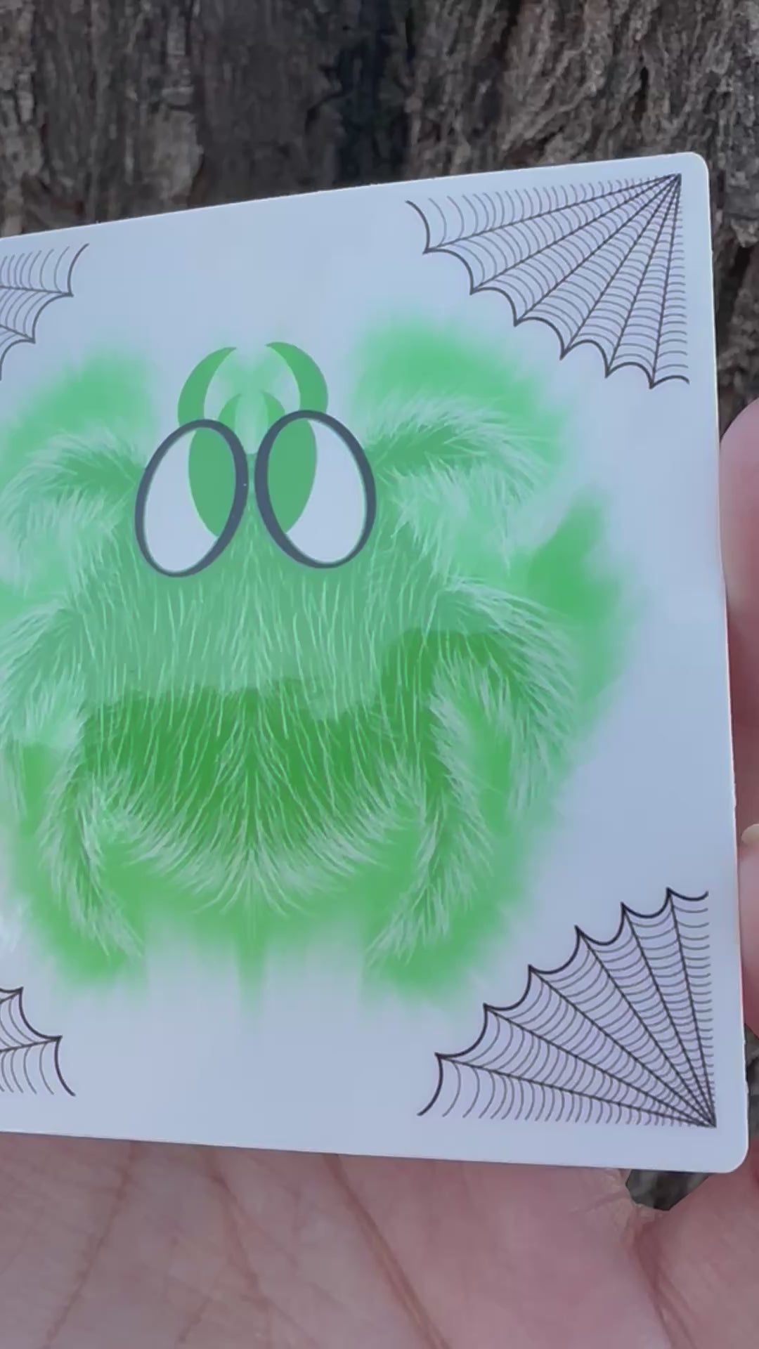 A square sticker featuring a fluffy green cartoon spider with large black and white eyes. Black spider web illustrations decorate all four corners.